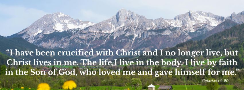 Weekly Market Insights | Stocks Rise on Hopes of Middle East Calm